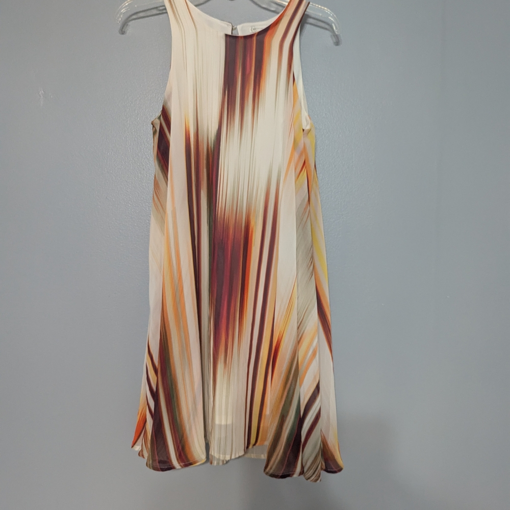Multicolor Sleeveless Pleated Dress